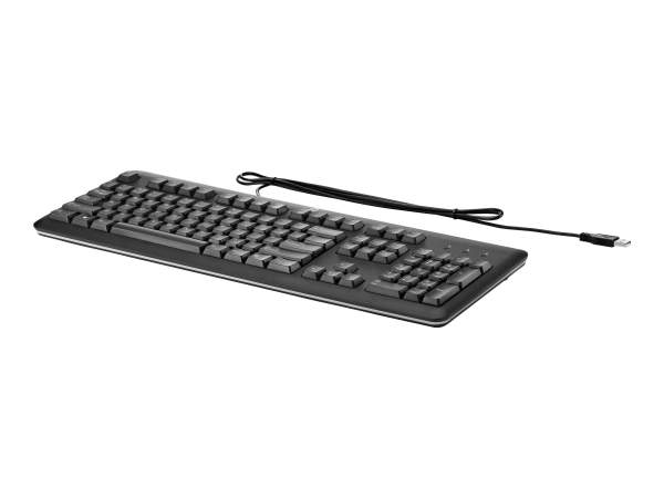 HP - QY776AA#ABE - USB-Tastatur für PC - Tastatur - Schwarz