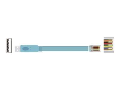 Delock - 63289 - Kabel seriell - USB (M) bis RJ-45 (M)