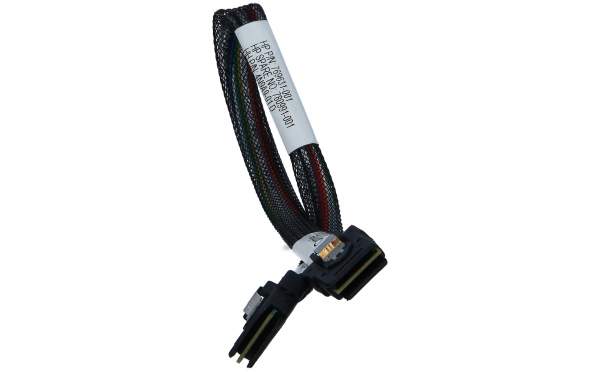 HPE - 769631-001 - PROLIANT ML350 G9 14inch Mini SAS Cable - Cavo - Digitale/dati