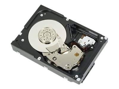 Dell - 400-ANXJ - Customer Kit - Festplatte - 10 TB - intern - 3.5" (8.9 cm)